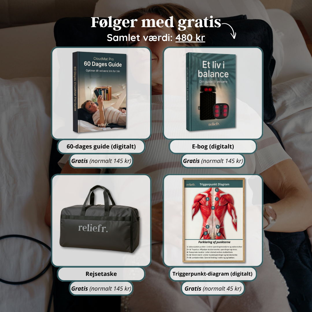 InstockSneakerStore Shiatsu Massagemåtte med Varme og Vibration